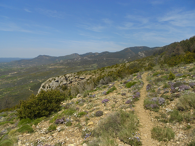 Sendero circular Bolea - Ruta del Silencio - Aniés Huesca