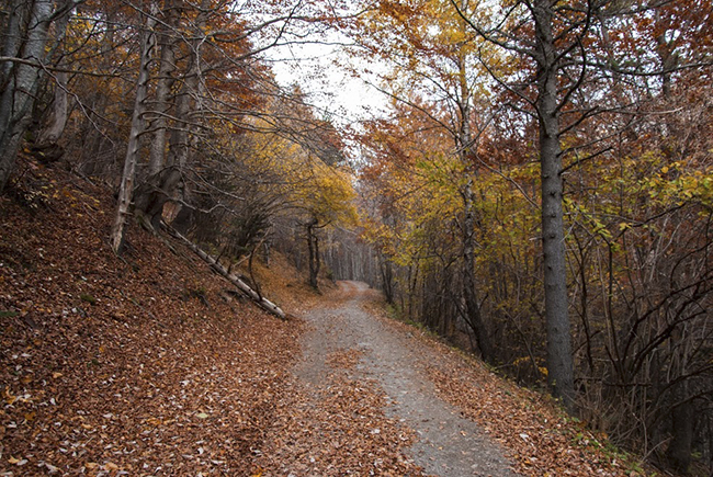 Valle de Estós - Parque Natural de Posets Maladeta