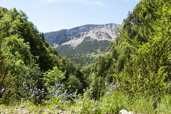 Valle de Bujaruelo - Valle de Ordiso