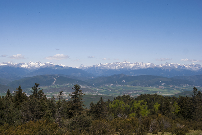 Vistas de los Pirineos - Pico Cúculo