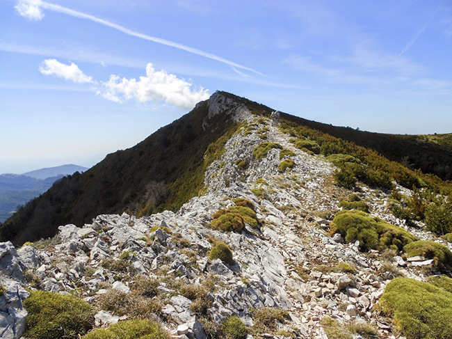 Cresta Sierra de Gabardiella