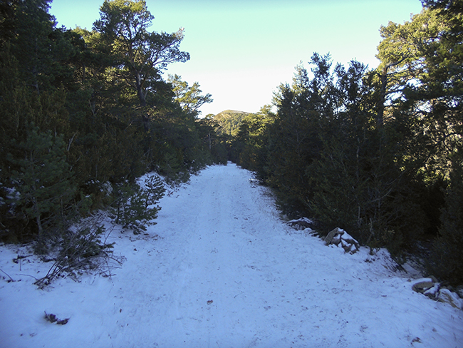 Pista nevada en la Subida al  Pico la Calma - Hoya de Huesca  - Sierra Gratal