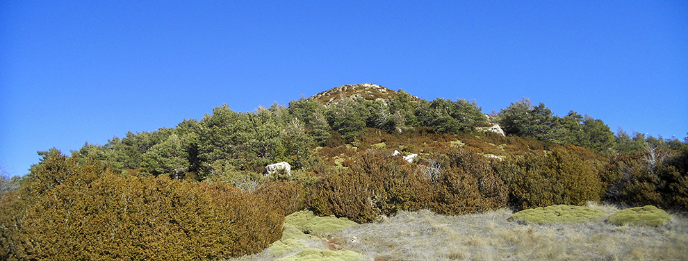 Pico la Calma - Sierra Gratal - Hoya de Huesca