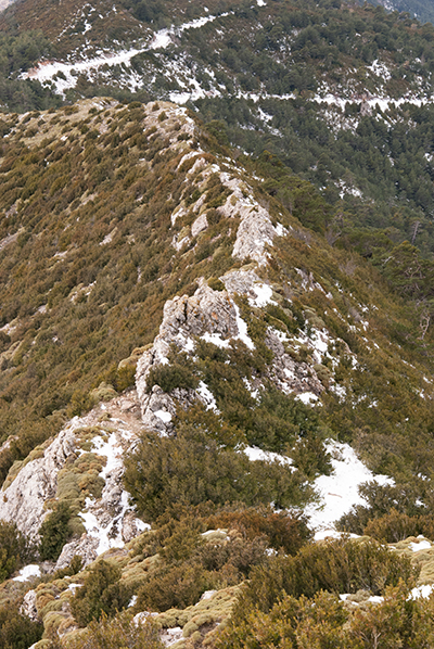 Cretas en el Pico Pusilibro vista desde arriba